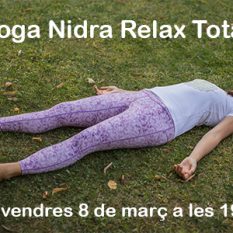 anandaioga_yoga_nidra